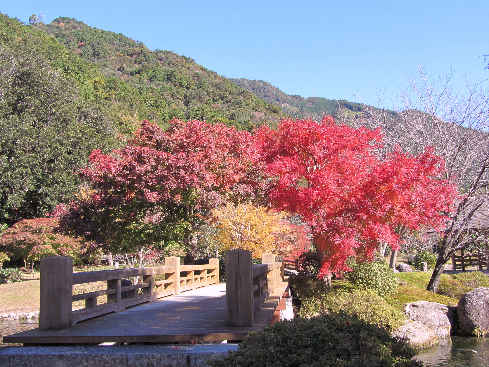 d0154609_115457100.jpg