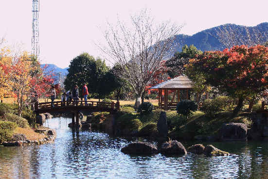 d0154609_11575518.jpg