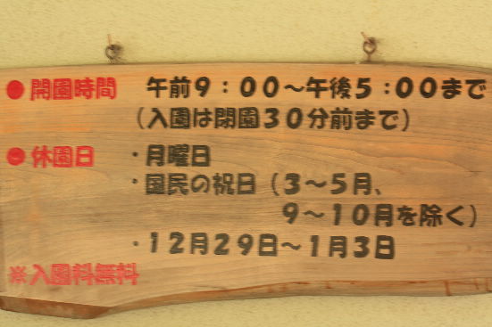 d0154609_1215262.jpg