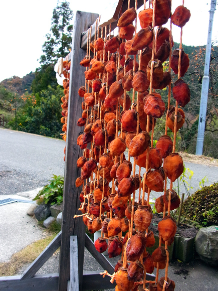 e0083517_2316997.jpg