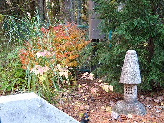 e0192217_9563722.jpg
