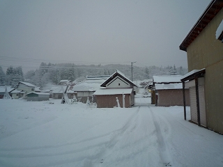 c0189218_7265393.jpg