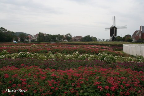 c0071221_11441670.jpg