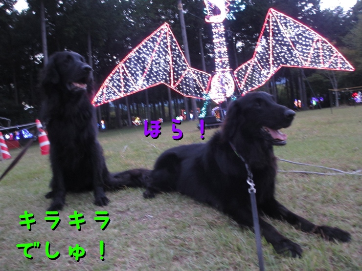 c0237824_062423.jpg