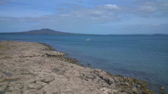 b0248427_62153.jpg