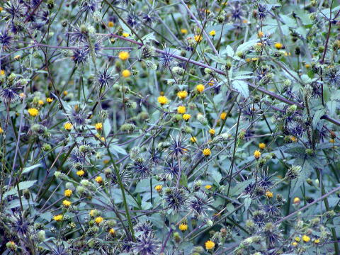 b0127531_22544998.jpg
