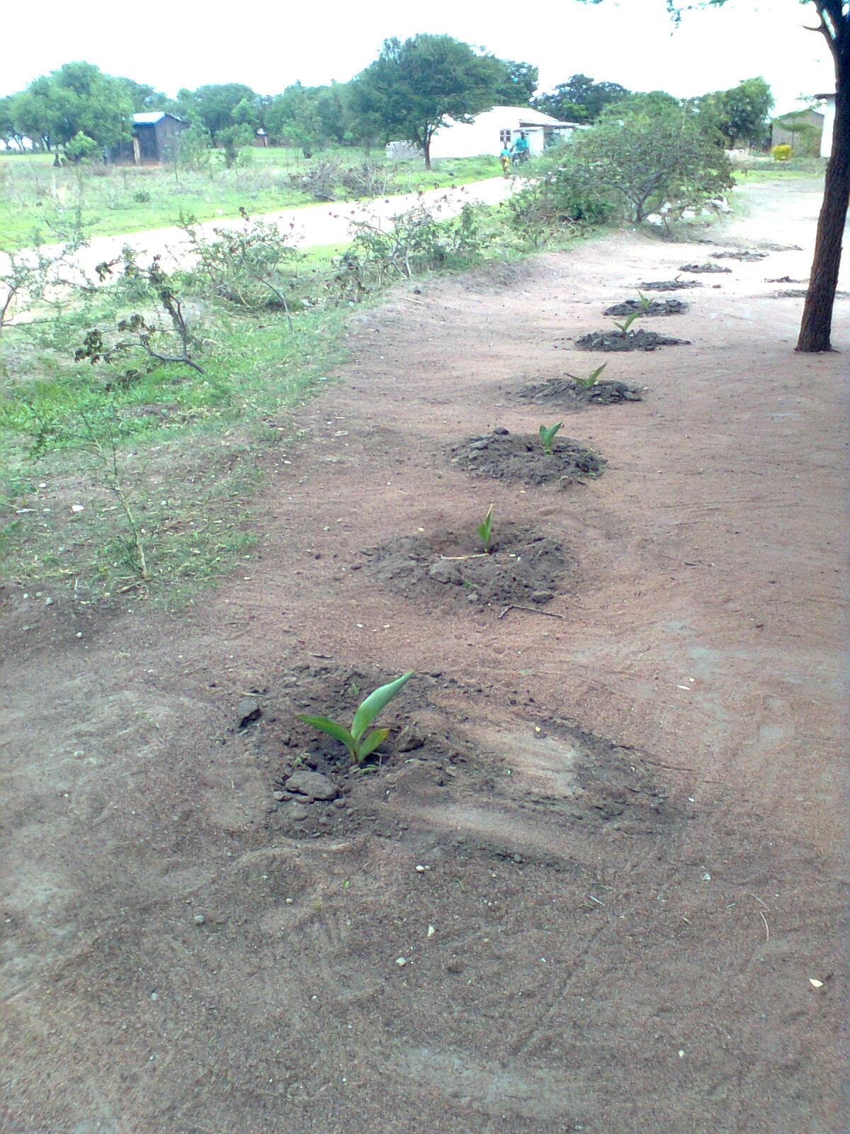 c0227132_2230532.jpg