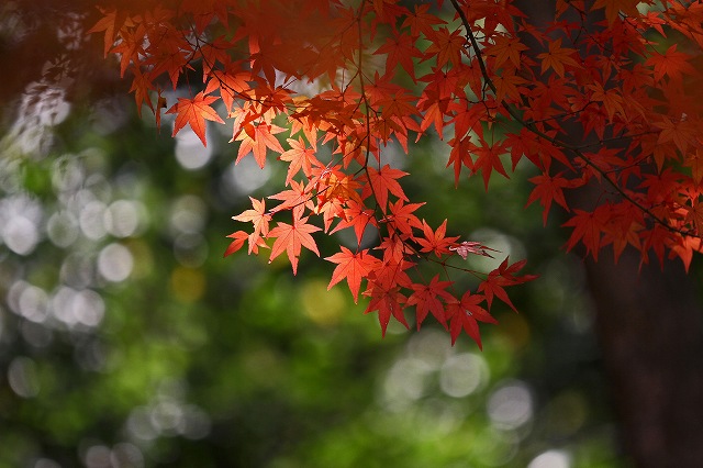 a0242438_16571430.jpg