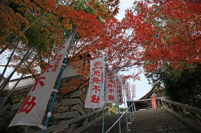 a0242438_16595721.jpg