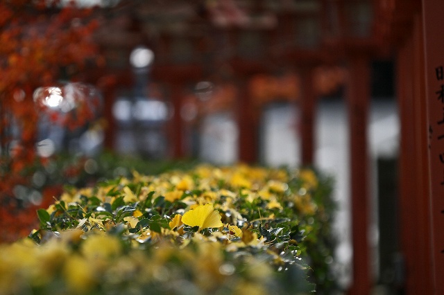 a0242438_1704776.jpg