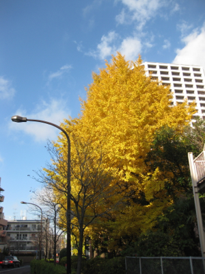 f0141840_145735.jpg