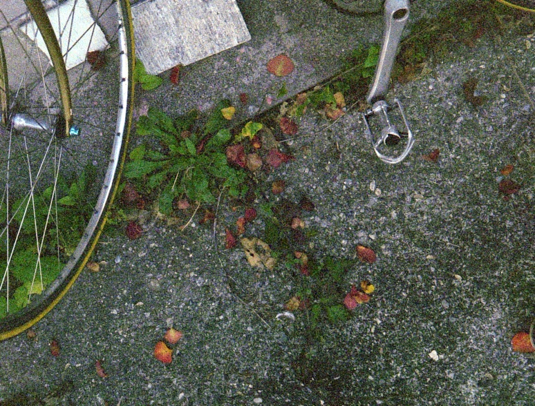 d0089742_0141225.jpg