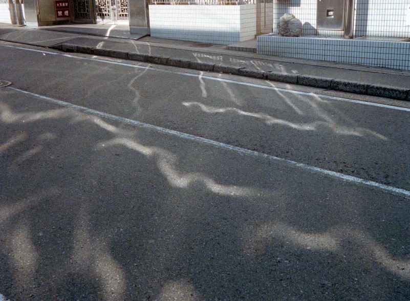 d0089742_0145125.jpg