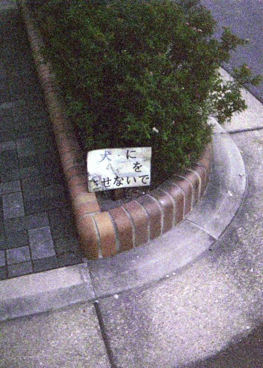 d0089742_0154670.jpg