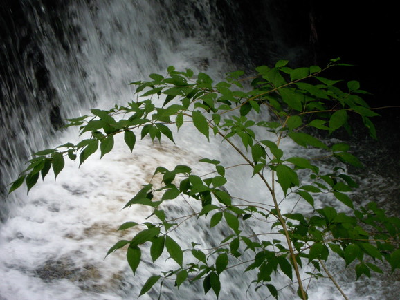 a0265945_19373894.jpg