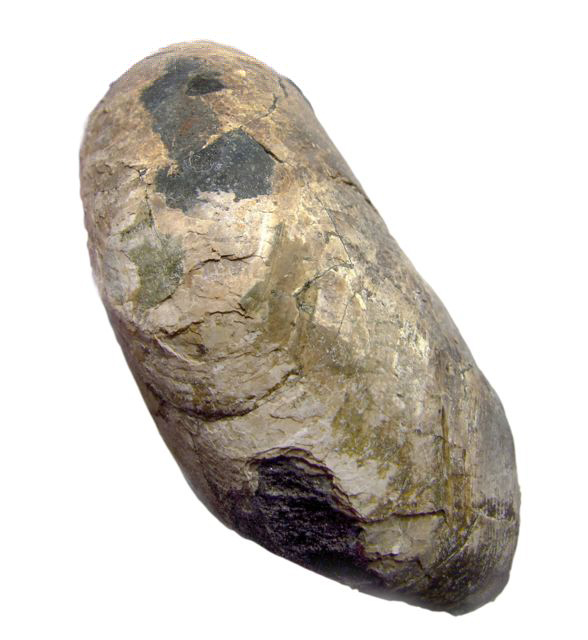 e0290546_20344349.jpg