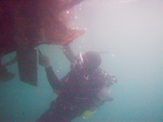 f0161647_22183595.jpg