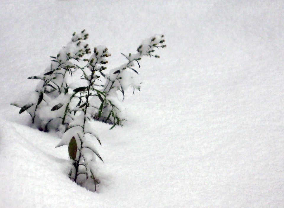 f0020564_21524885.jpg