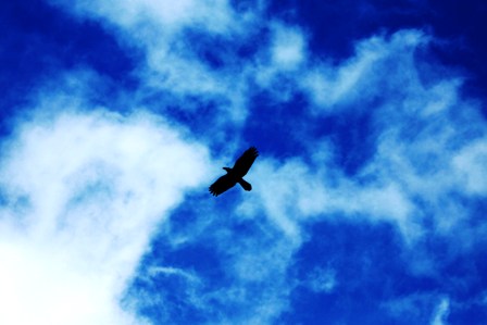 a0216469_20202130.jpg