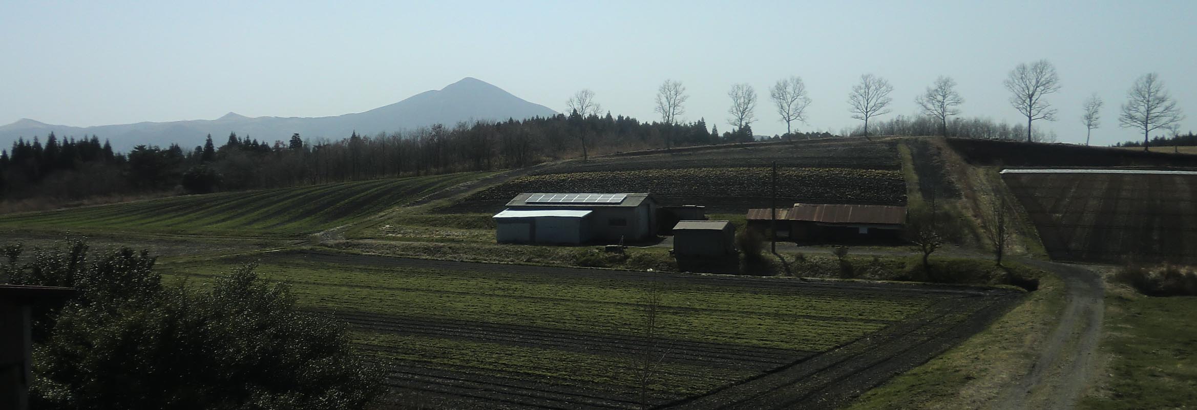 f0176370_1610513.jpg