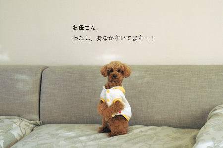 c0196673_8404667.gif