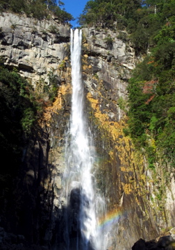 f0054677_8314193.jpg