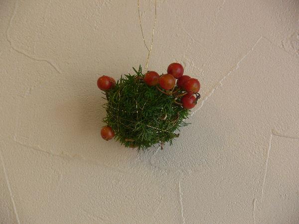 e0140986_10302261.jpg