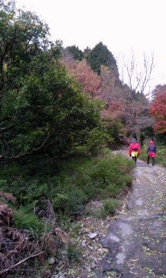 c0181887_018650.jpg