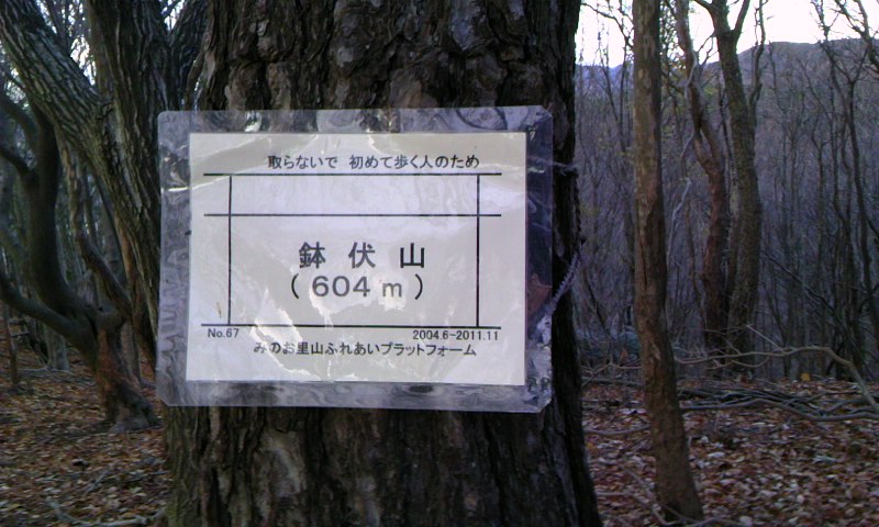 c0181887_0215022.jpg