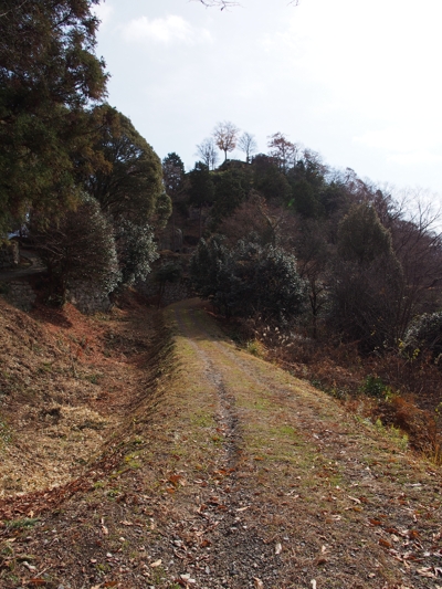 f0103688_21195773.jpg