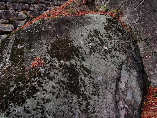 f0103688_21213052.jpg