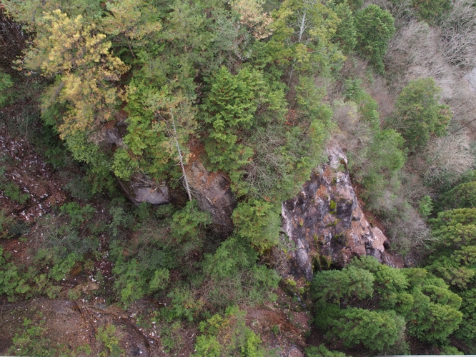 f0103688_21325845.jpg