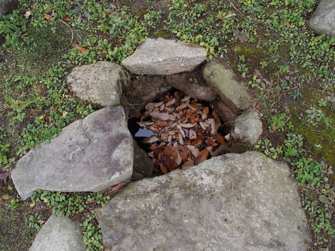 f0103688_21344278.jpg
