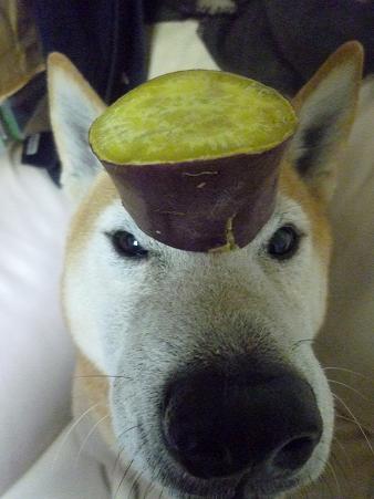 c0123890_2011353.jpg