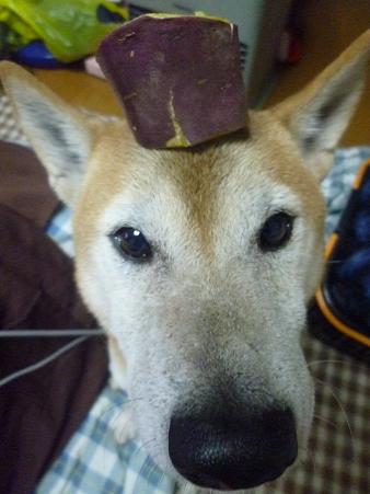 c0123890_20113972.jpg