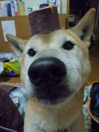 c0123890_20114364.jpg