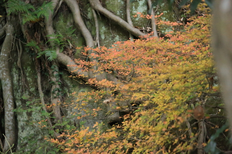 b0275998_0292391.jpg
