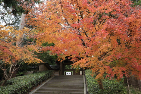 b0275998_030094.jpg