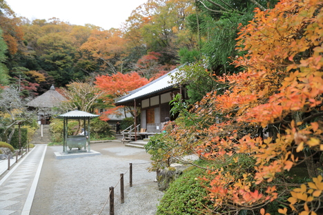 b0275998_035872.jpg
