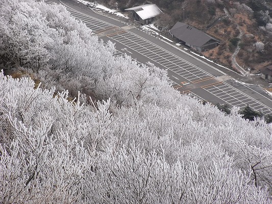 f0187402_1823911.jpg