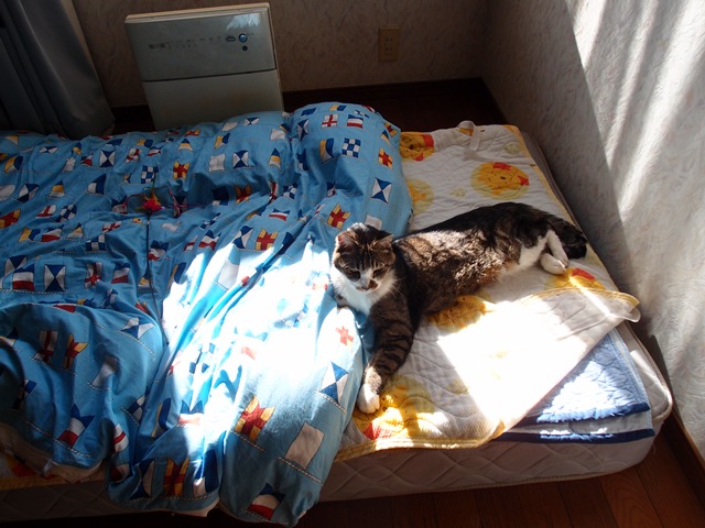 e0018604_1131587.jpg