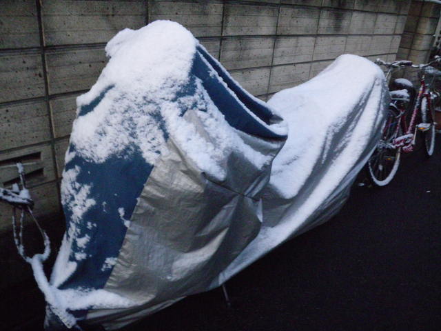 a0116205_212882.jpg