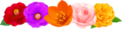 d0259506_1331891.png