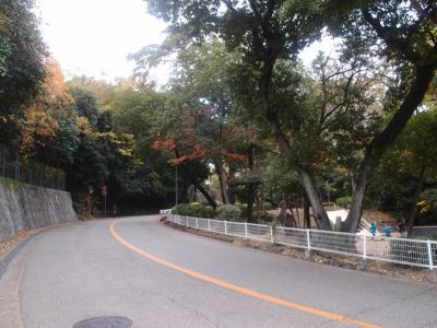 b0250907_2222935.jpg