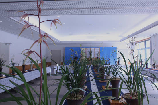 d0154609_11185690.jpg