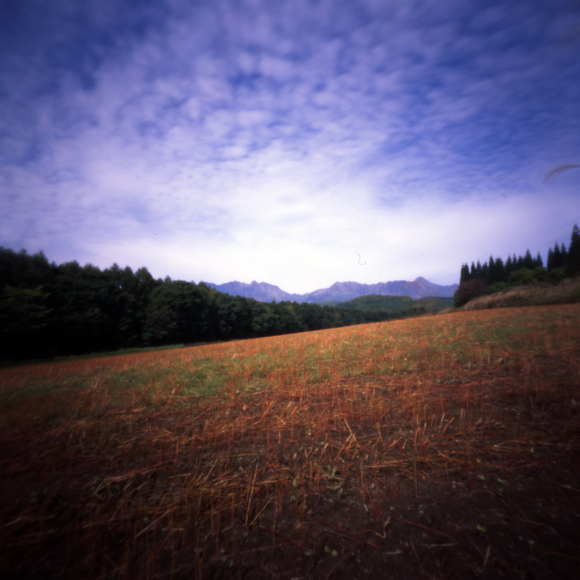 c0016712_854175.jpg