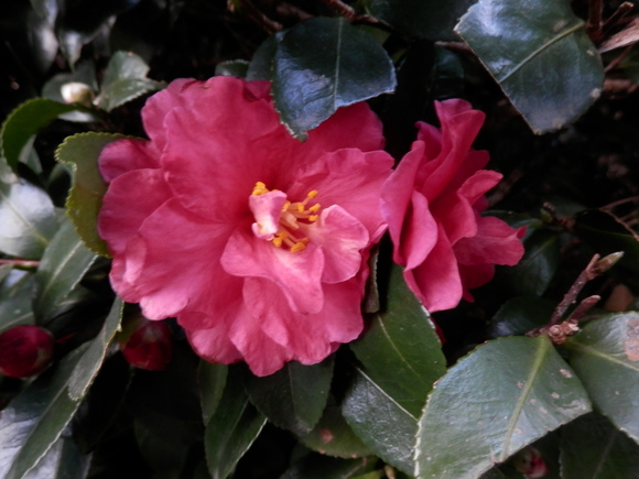 a0125419_2319346.jpg