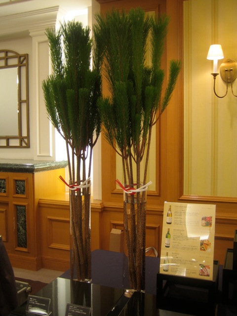 e0141819_9594781.jpg