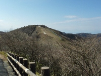 d0006323_16524912.jpg