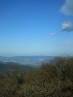 d0006323_17291370.jpg